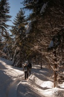 20130219-IMG 0837